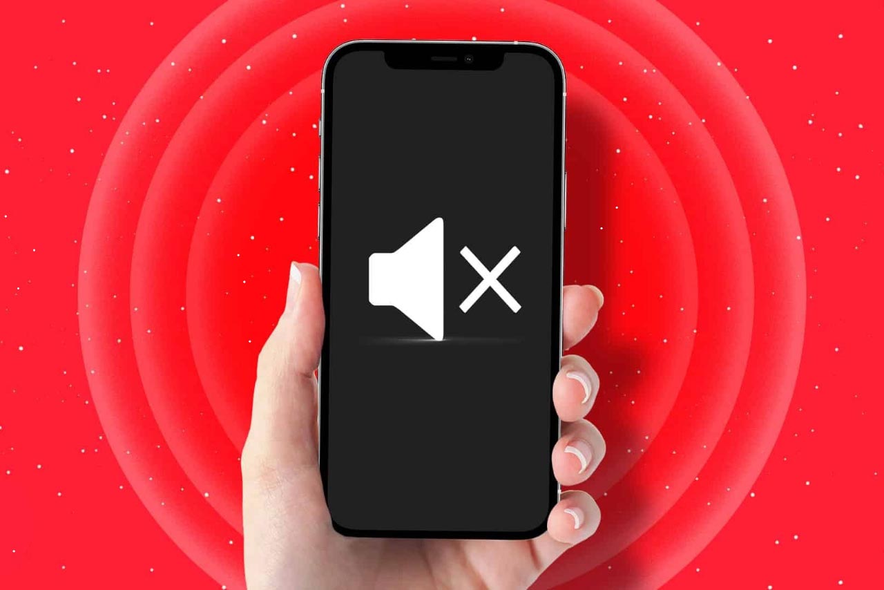No sound in the phone